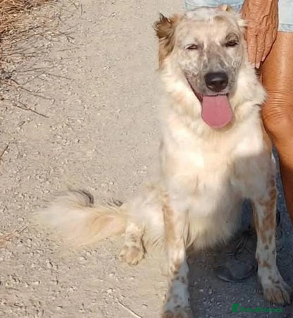 Kinali