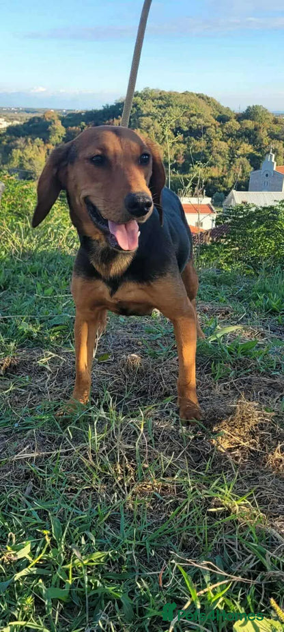 Lena