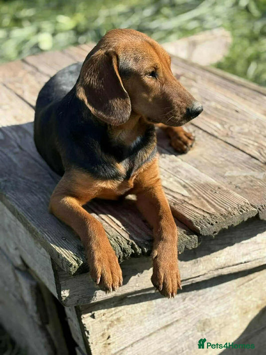 Lena