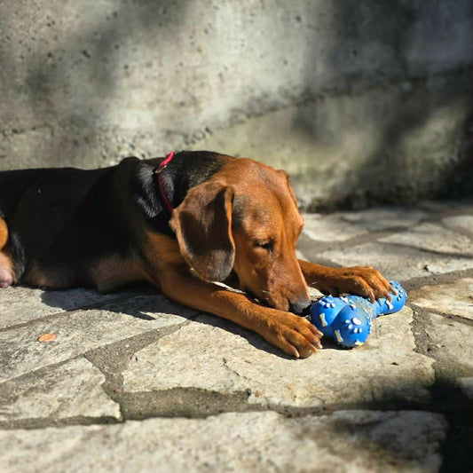 Lena