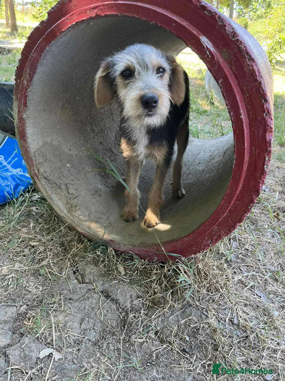 Lena