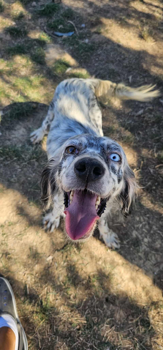 Lola