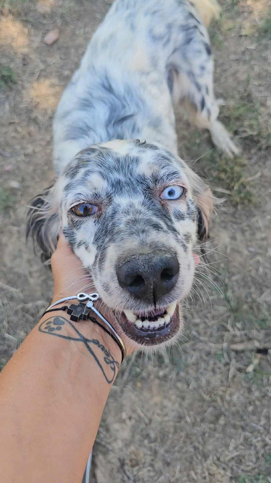 Lola