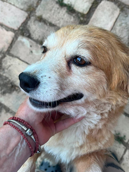 Mable