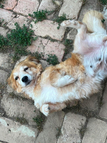 Mable