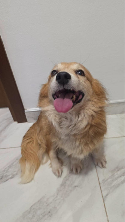 Mable