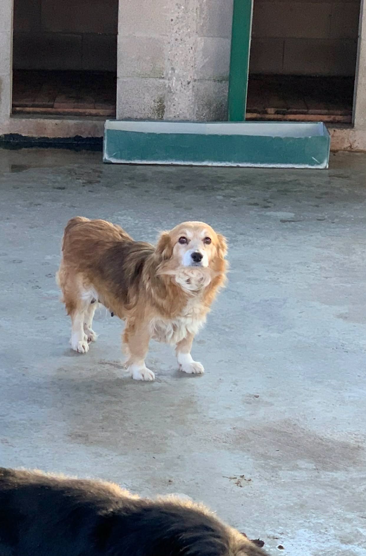 Mable