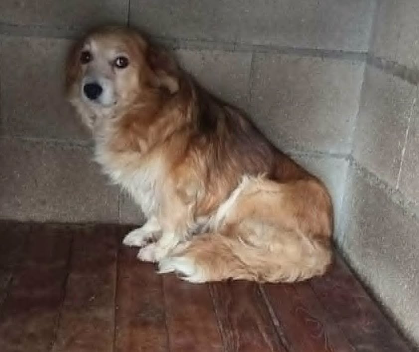Mable