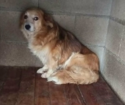 Mable