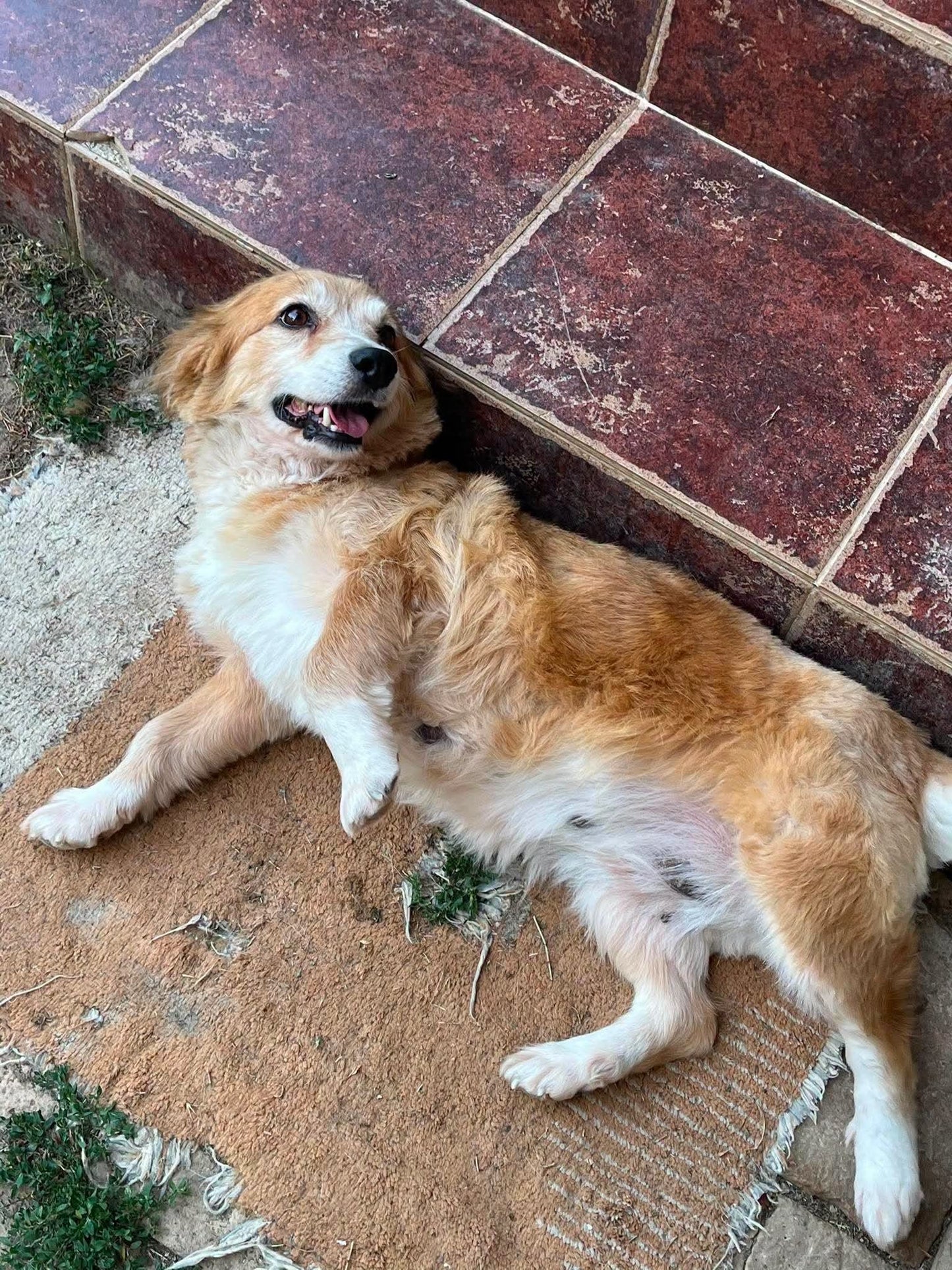 Mable