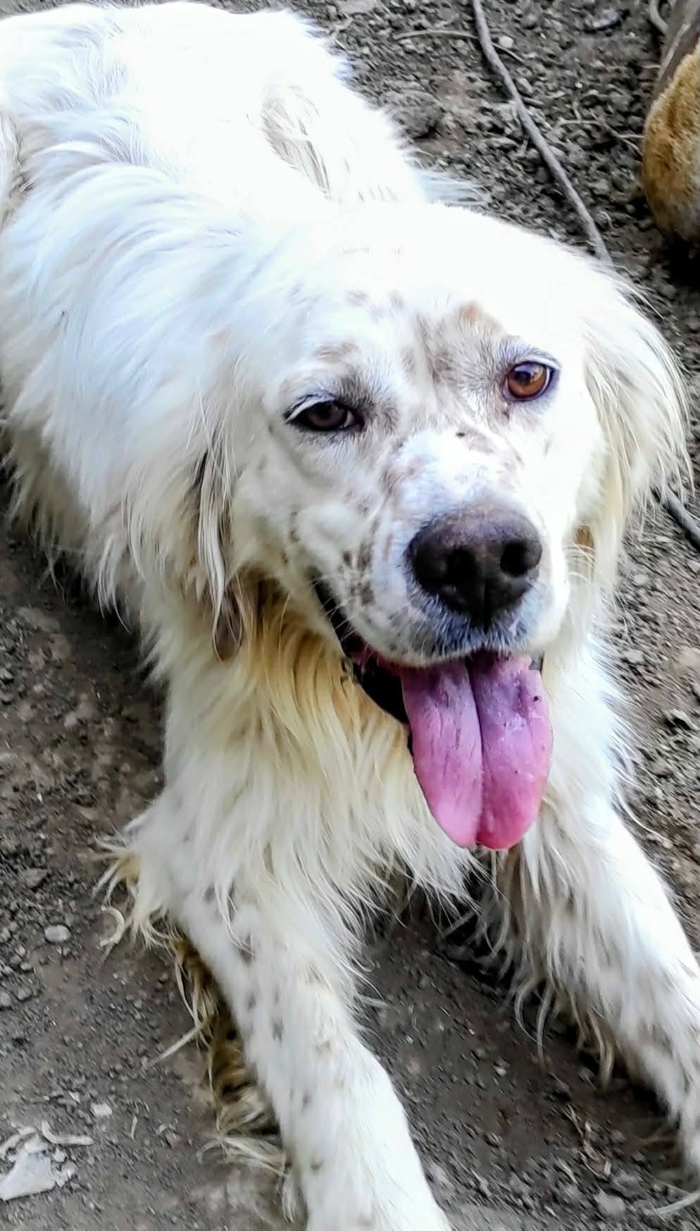 Marley
