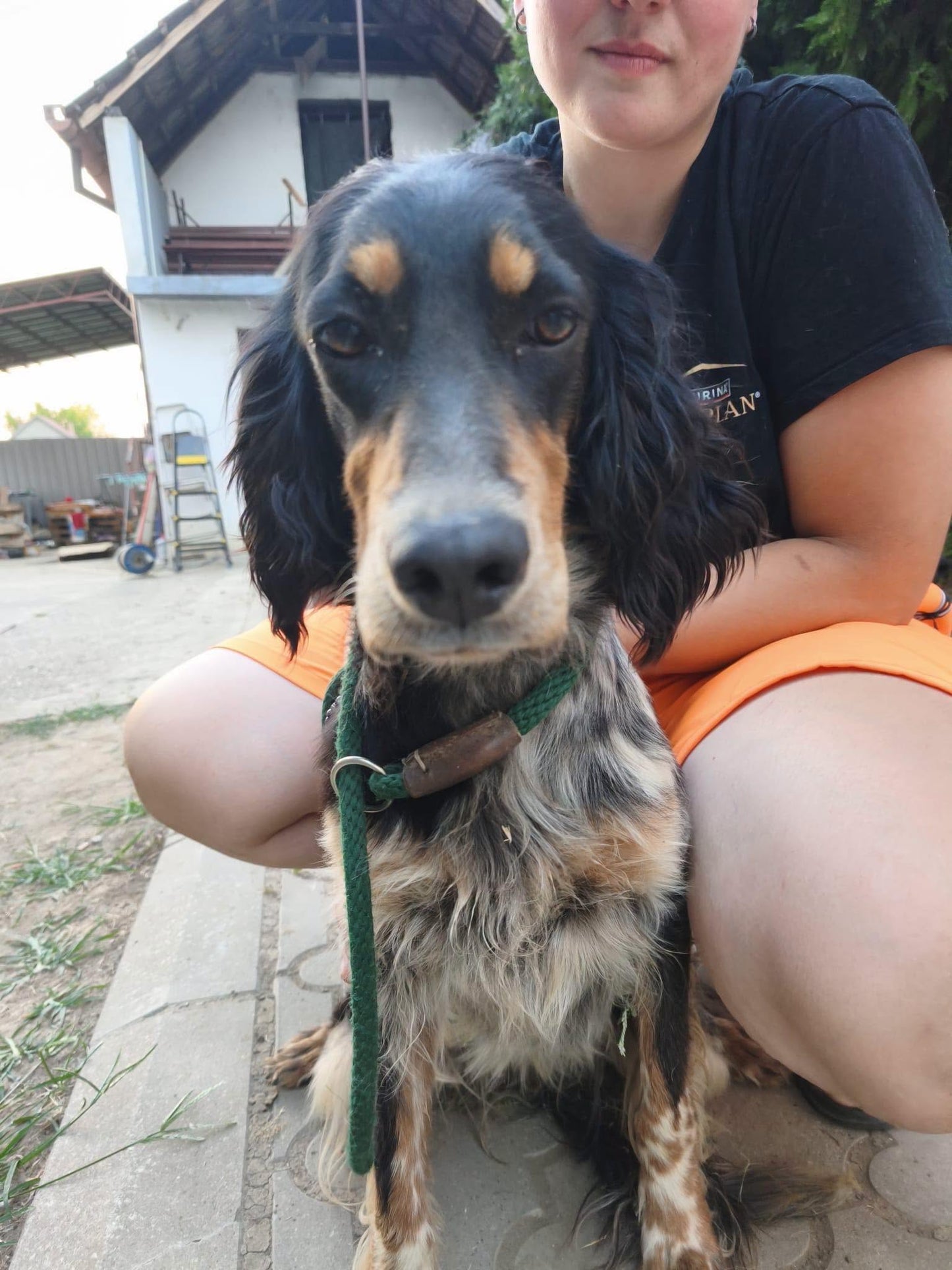 Maya