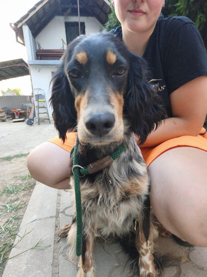 Maya
