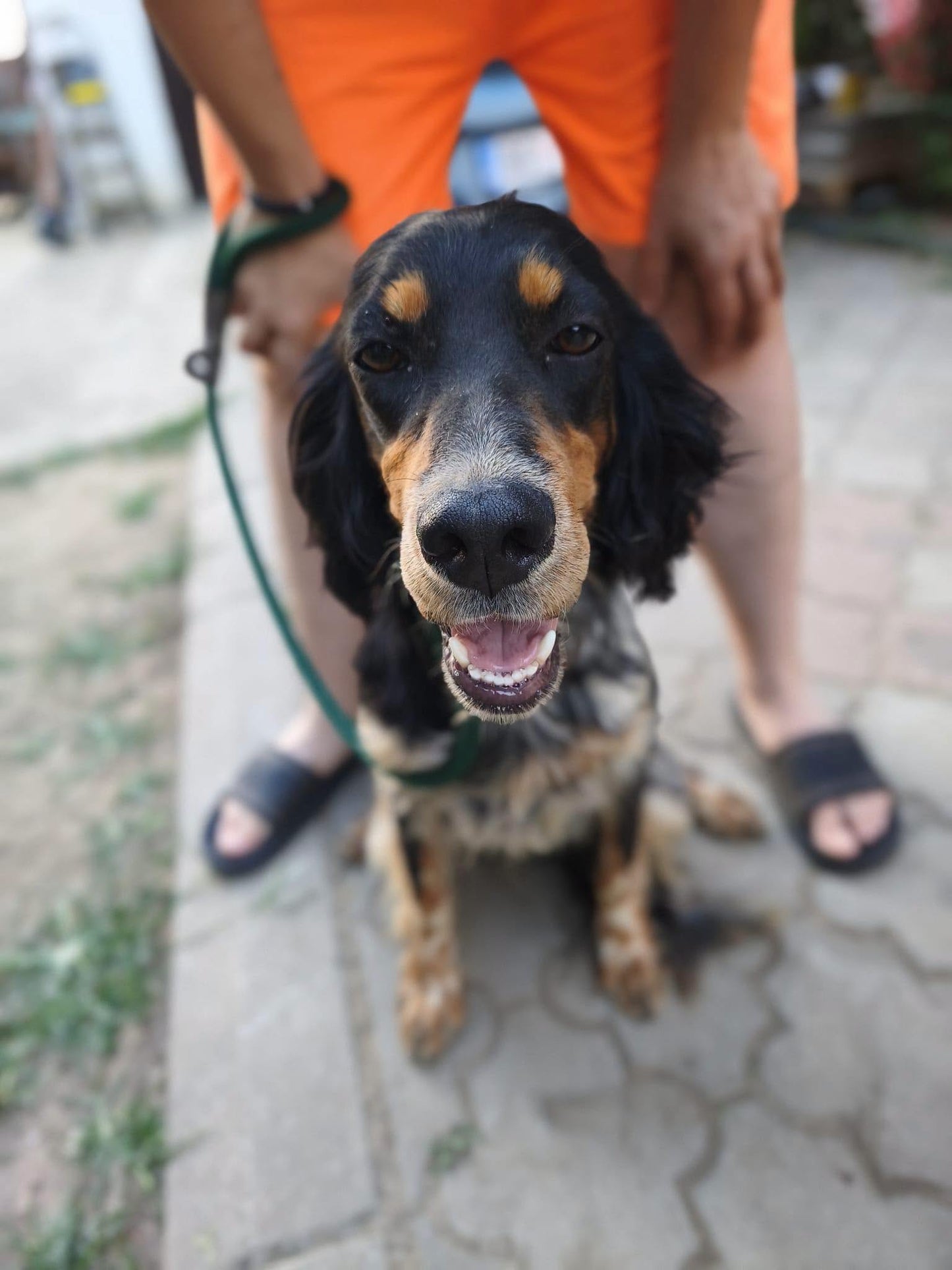 Maya