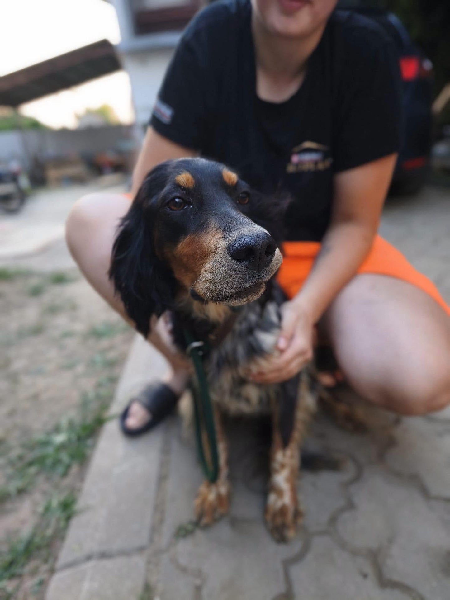 Maya