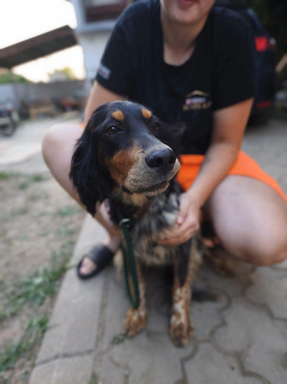 Maya