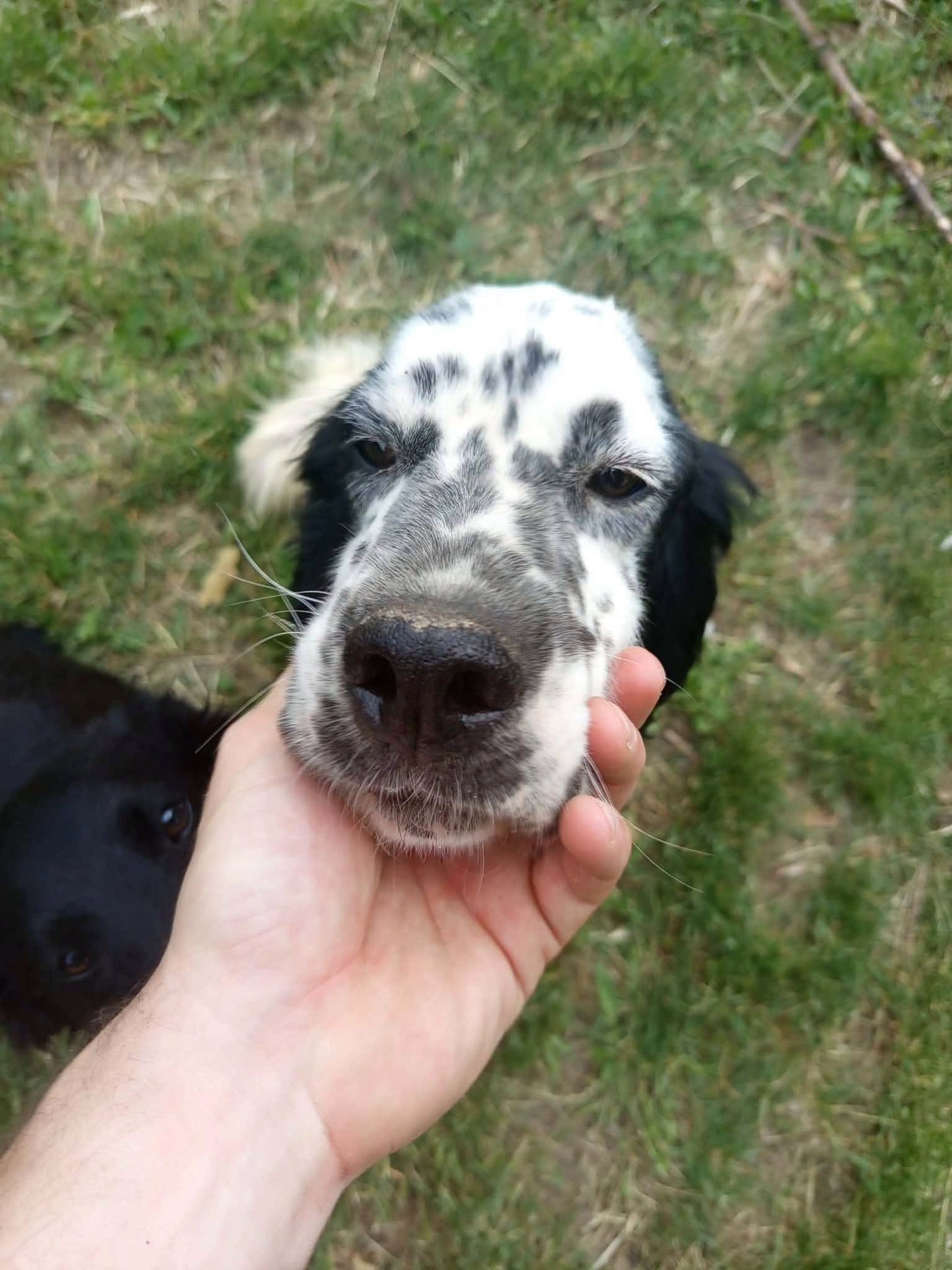 Milo