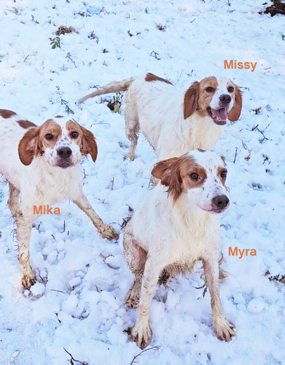 Myra
