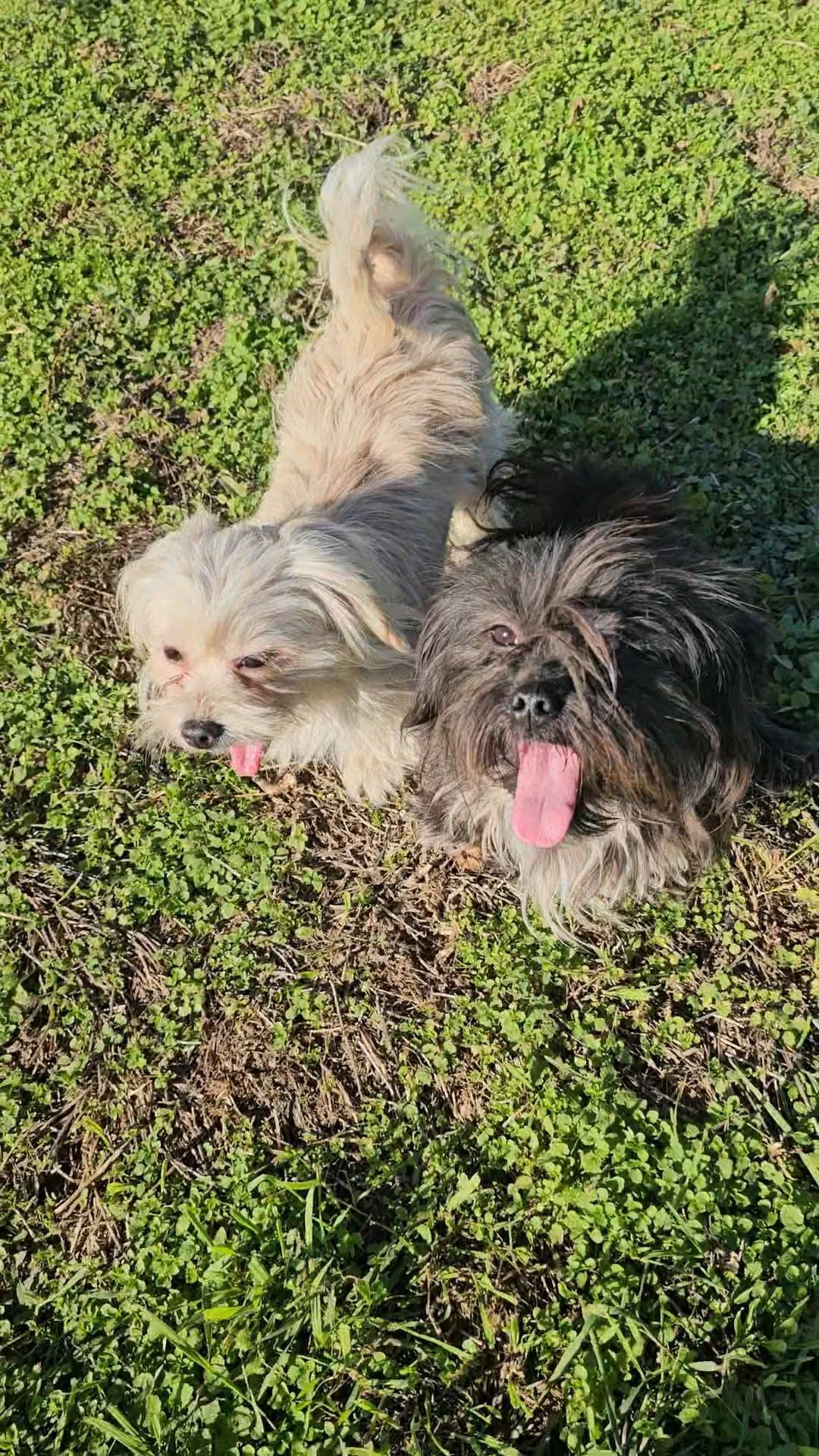 Nora & Kozmo