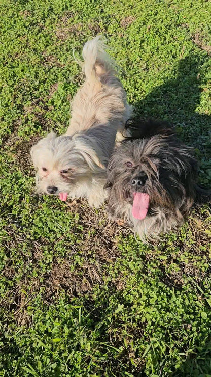 Nora & Kozmo