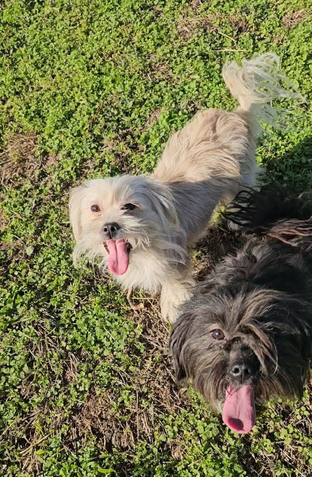 Nora & Kozmo