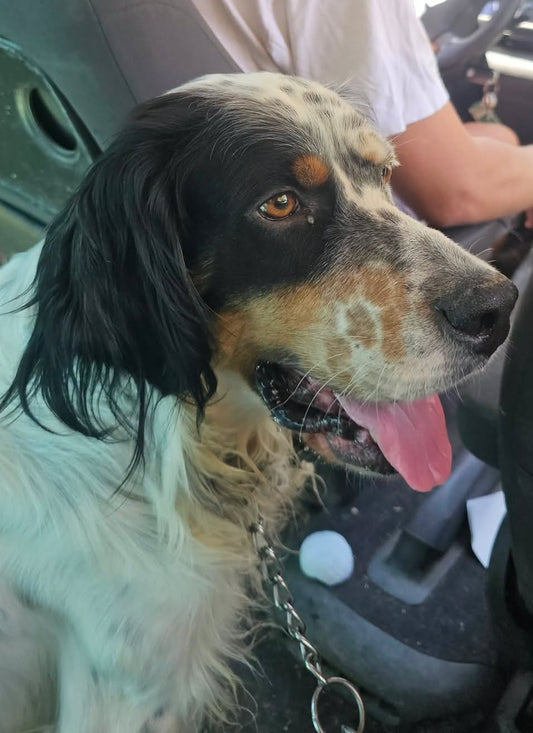 Oskar