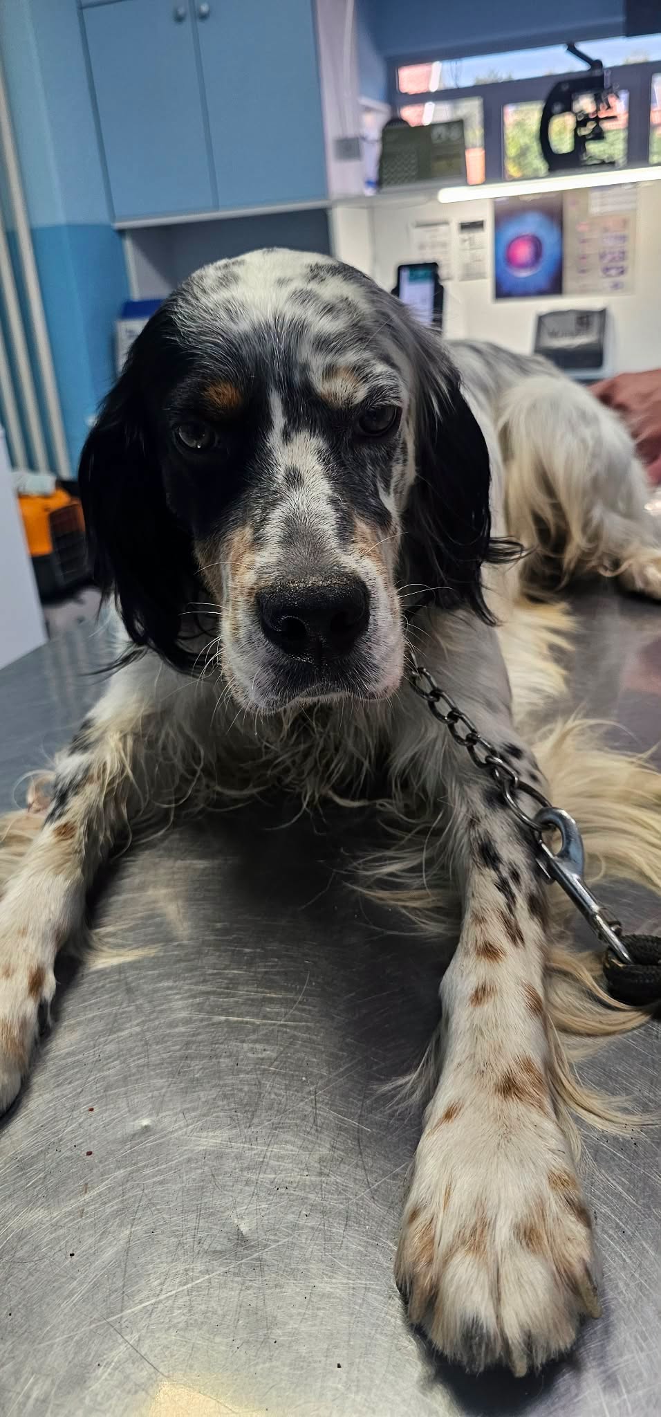 Oskar