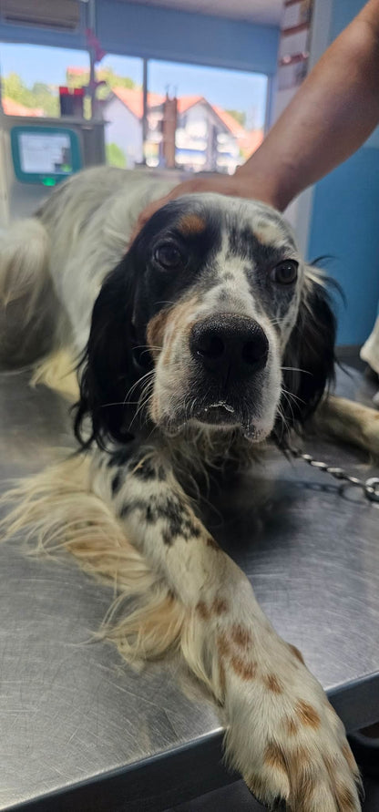 Oskar