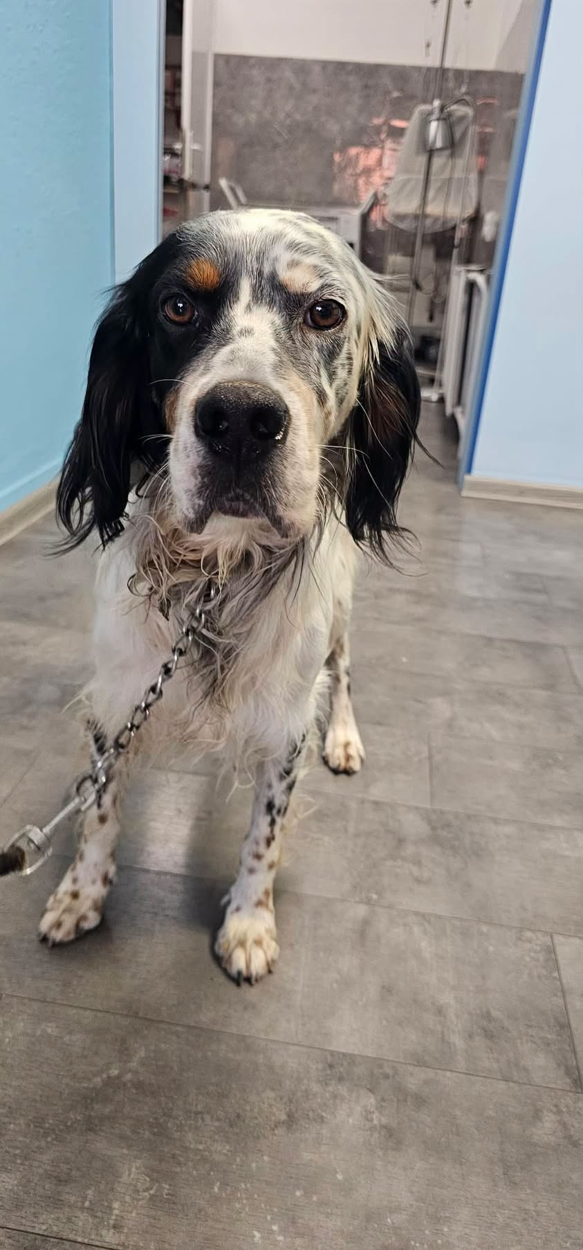 Oskar