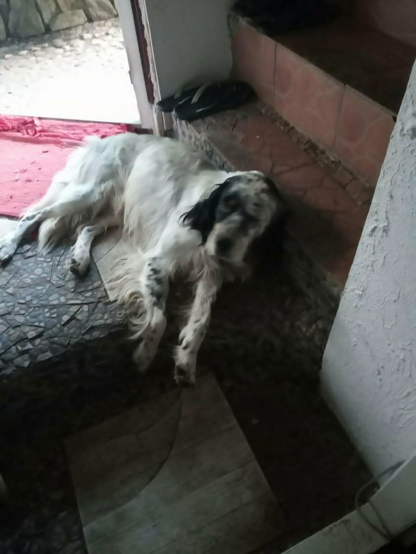 Oskar