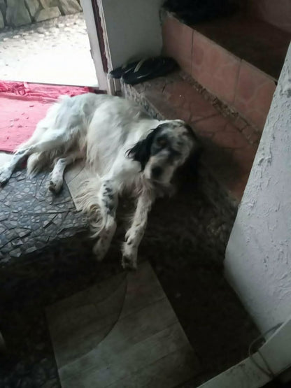 Oskar
