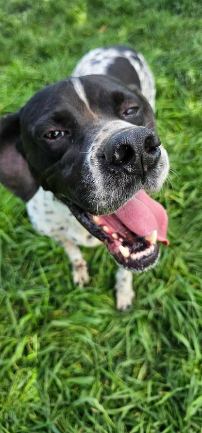 Santos