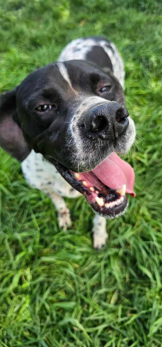 Santos
