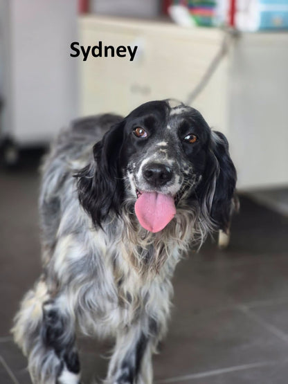 Sydney