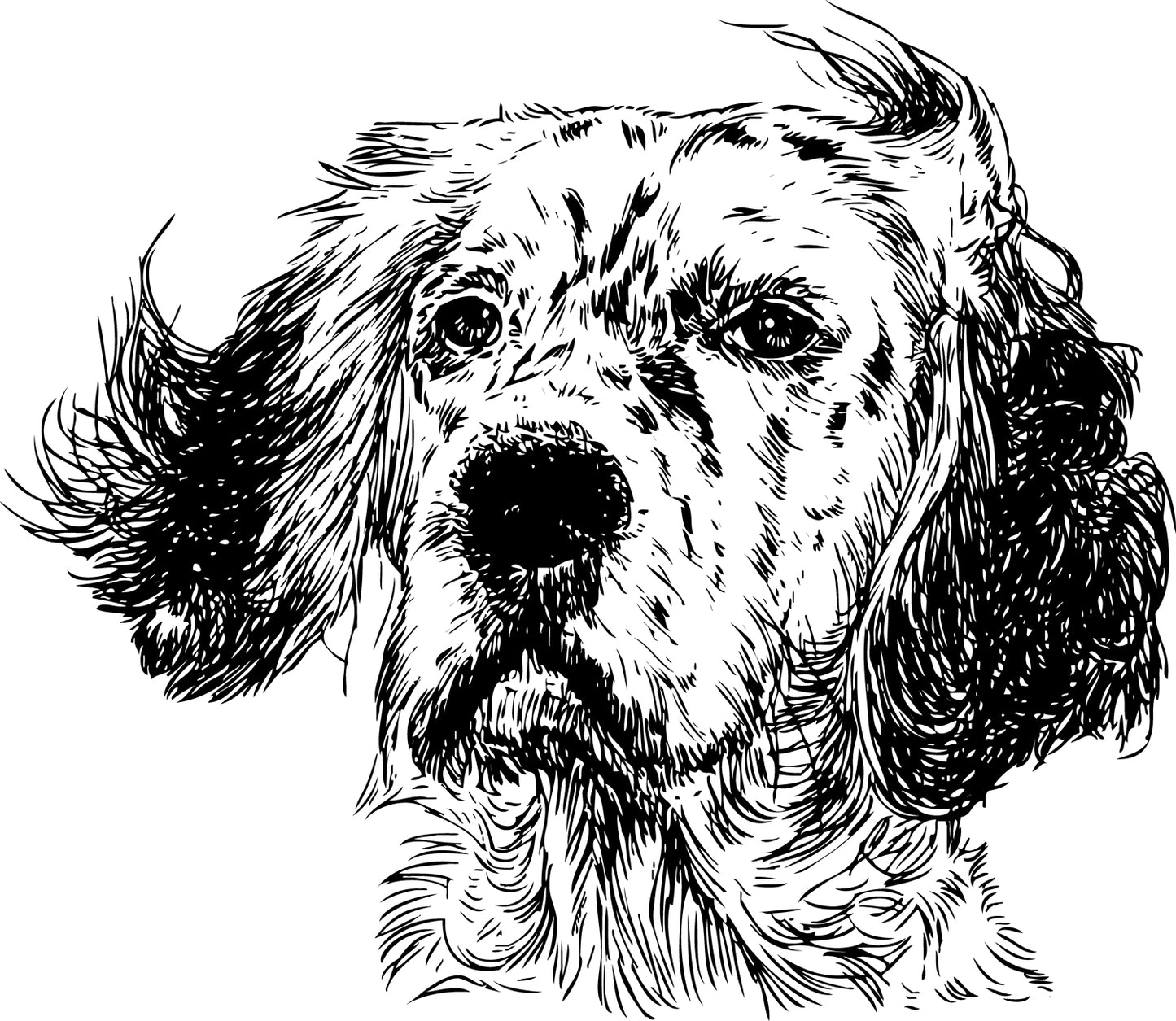 Setter Portrait Unisex T-Shirt - Hand-Drawn Rescue Dog T-Shirt - White