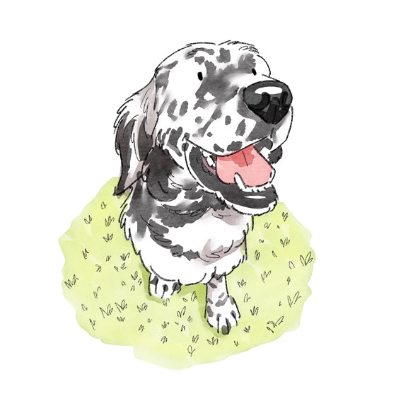 Smiling Setter Unisex T-Shirt - Rescue Dog Charity T-Shirt - White